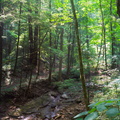 Red River Gorge, June 18, 2010